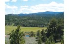 Property photo 25 - Get Lost in the Pristine Northern Colorado Rockies - Prime Building Sites